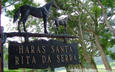 Haras Santa Rita da Serra