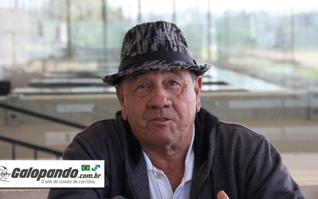 Lauro José de Lima | O Cavalo em Minha Vida