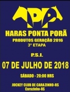 Haras Ponta Porã realiza 3º etapa do leilão de potros