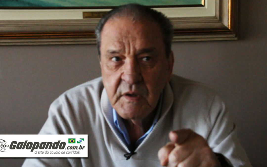 Jael Bergamaschi Barros | O Cavalo em Minha Vida