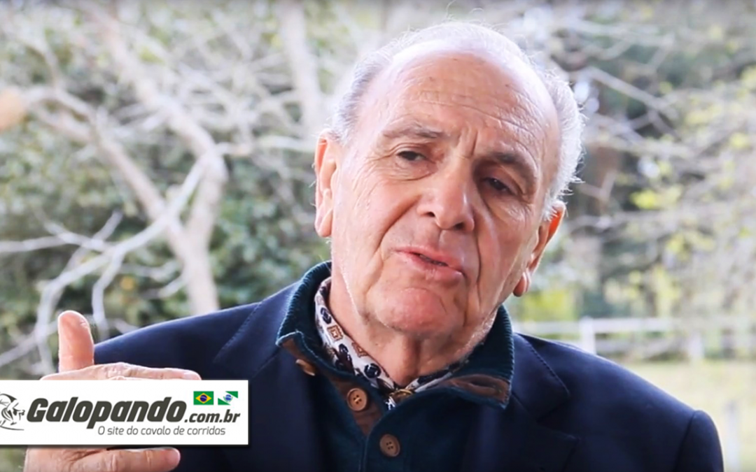 Duílio Berleze | O Cavalo em Minha Vida