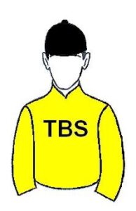 TBS International Stud