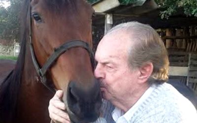 Haras Clemente Moletta… “Dos Dissabores às Alegrias”
