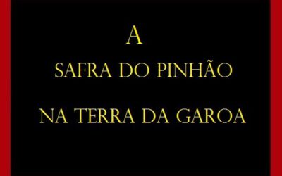 A Safra do Pinhão na Terra da Garoa