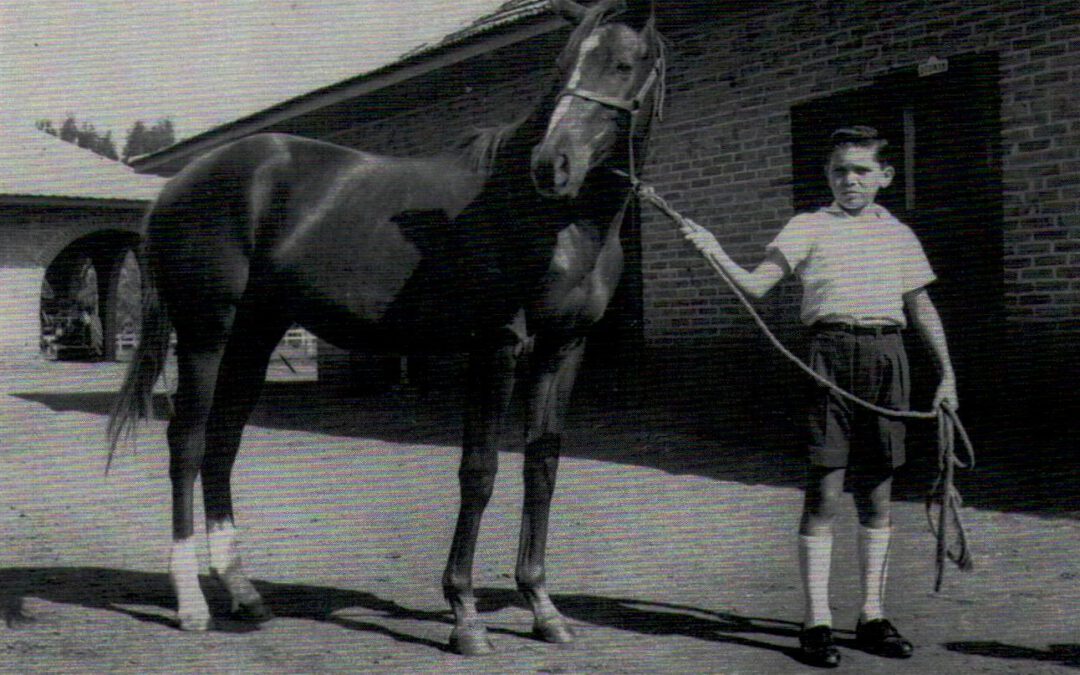 – O Haras Paraná –
