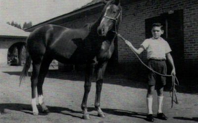 – O Haras Paraná –