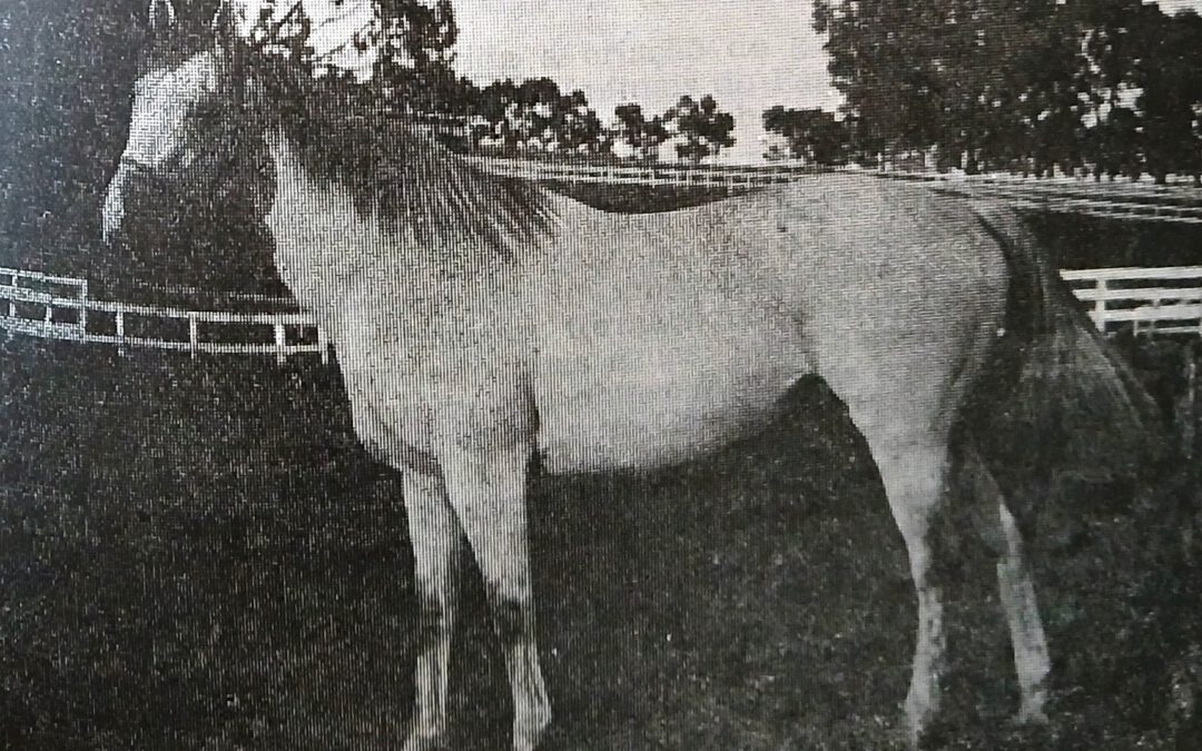 ASSOMBRADO, QUE NADA…