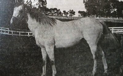 ASSOMBRADO, QUE NADA…