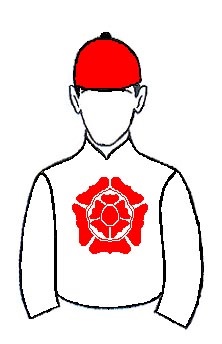 Seção Paraná – uma das “Pétalas” do Rosa do Sul