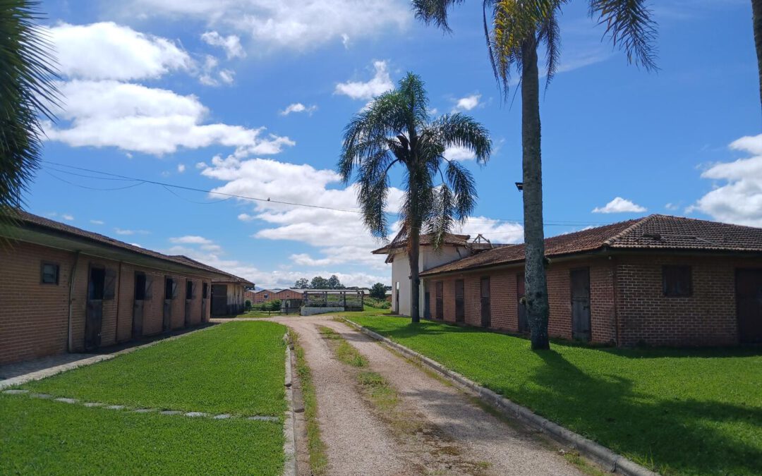 JÚLIO MOLETTA – Criador “Mãos na Massa”