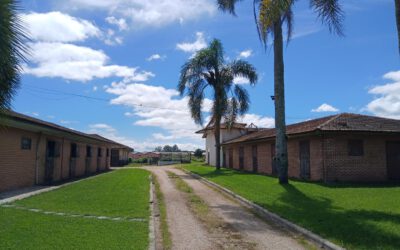 JÚLIO MOLETTA – Criador “Mãos na Massa”