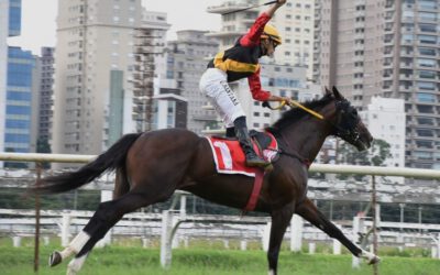 O Paraná em Abril